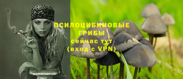 PSILOCYBIN Нефтегорск