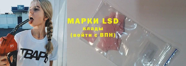 стаф Михайловск