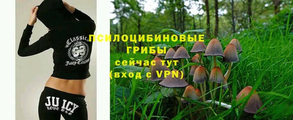 ПСИЛОЦИБИНОВЫЕ ГРИБЫ Наволоки