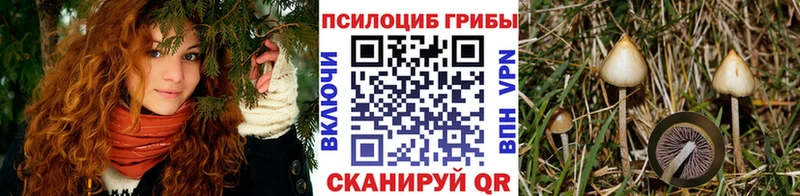 купить наркотик  Остров  hydra зеркало  Псилоцибиновые грибы прущие грибы 